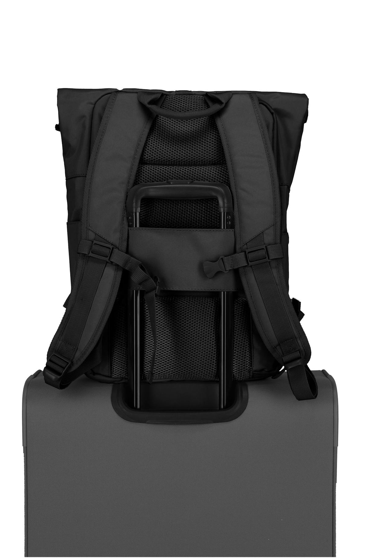 Travelite Basic Rollup Rucksack 35 L Schwarz mit 15,6-Zoll-Laptopfach