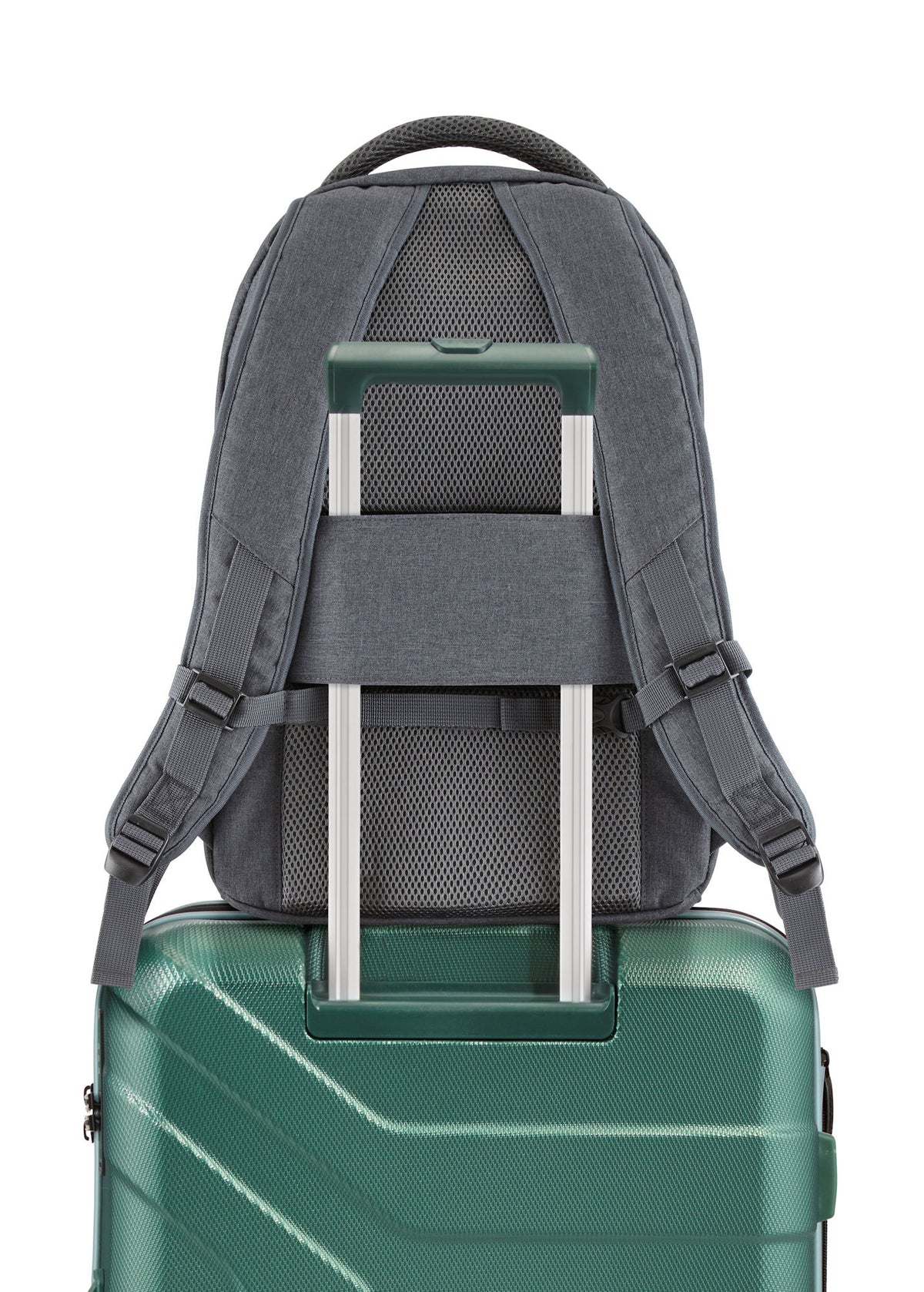 Travelite Basics Rucksack Dunkelbraun Rückenansicht mit gepolsterten Schultergurten